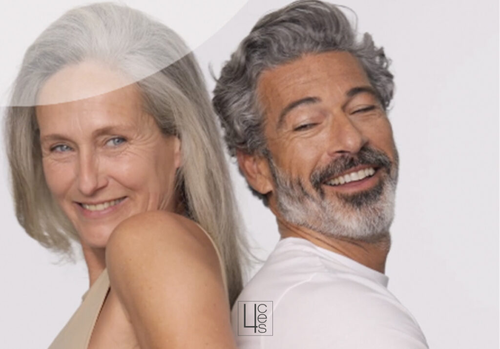 proyecciónmentón catroces web