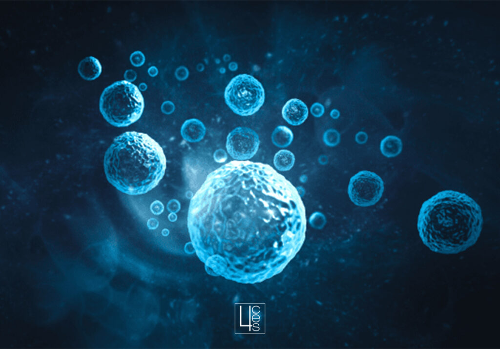 exosomas catroces web