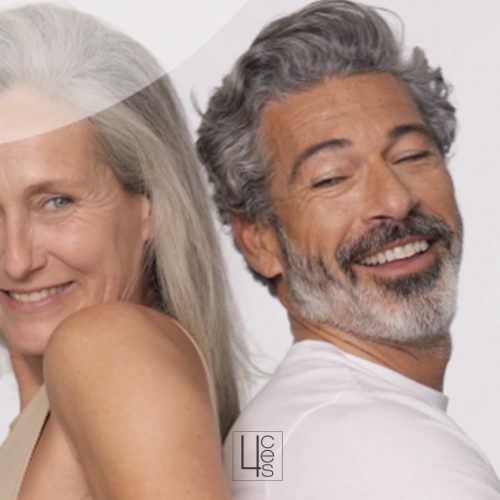 proyecciónmentón catroces web