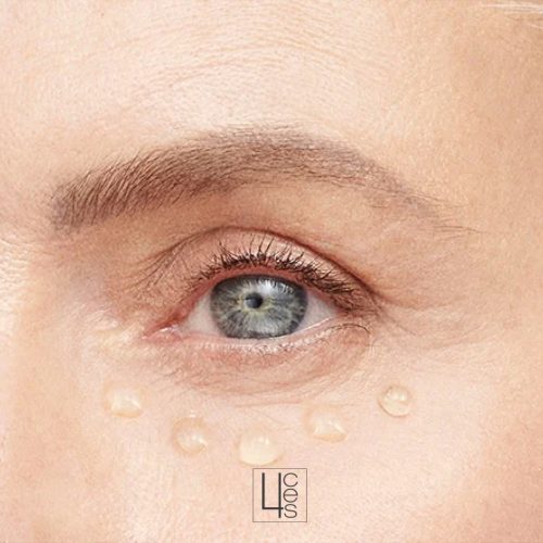 rellenoah catroces web